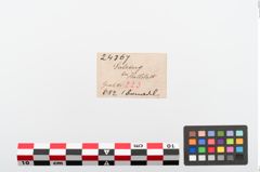 Etiketten zu Kugelkopfnadel (NHMW-PRAE-024367)